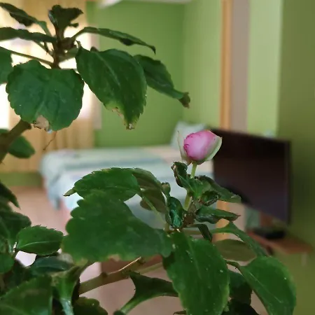 Apartment Re3ca *